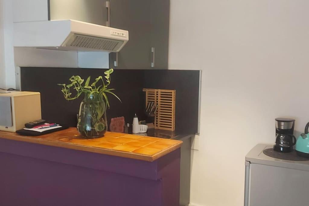 Studio Lumineux Strasbourg Kültér fotó